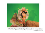 What Miss Piggy and fried bologna have taught me by Cooper Gibson