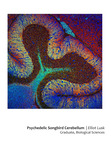 Psychedelic Songbird Cerebellum by Elliot Lusk