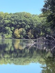 Beauty and Burden: Water Quality in Illinois Rivers. by Hannah Lartey