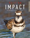 Redbird Impact, Volume 6, Number 1 by Center for Community Engagement and Service Learning