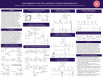 Investigations into the Synthesis of Phenaliporphyrins