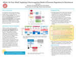 What's on Your Mind? Applying a Neurocognitive Model of Emotion Regulation to Attachment